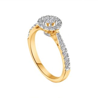 18ct Yellow Gold Halo Style 0.50ct Diamond Engagement Ring-14836